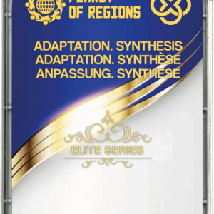KOLZOV-PLATTE «ADAPTATION. SYNTHESE»